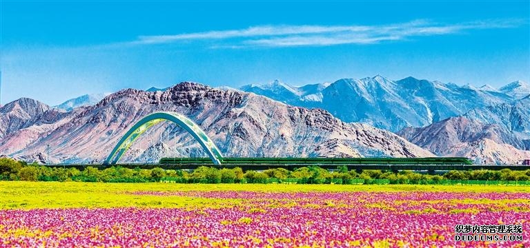 小米15怎么关掉5g网络用4g